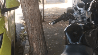 Guarda Civil Municipal de Sertânia apreende moto com restrição de roubo