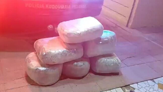 Homem é preso com 31 kg de maconha escondidos em sacos de ração na BR-232 em Sertânia
