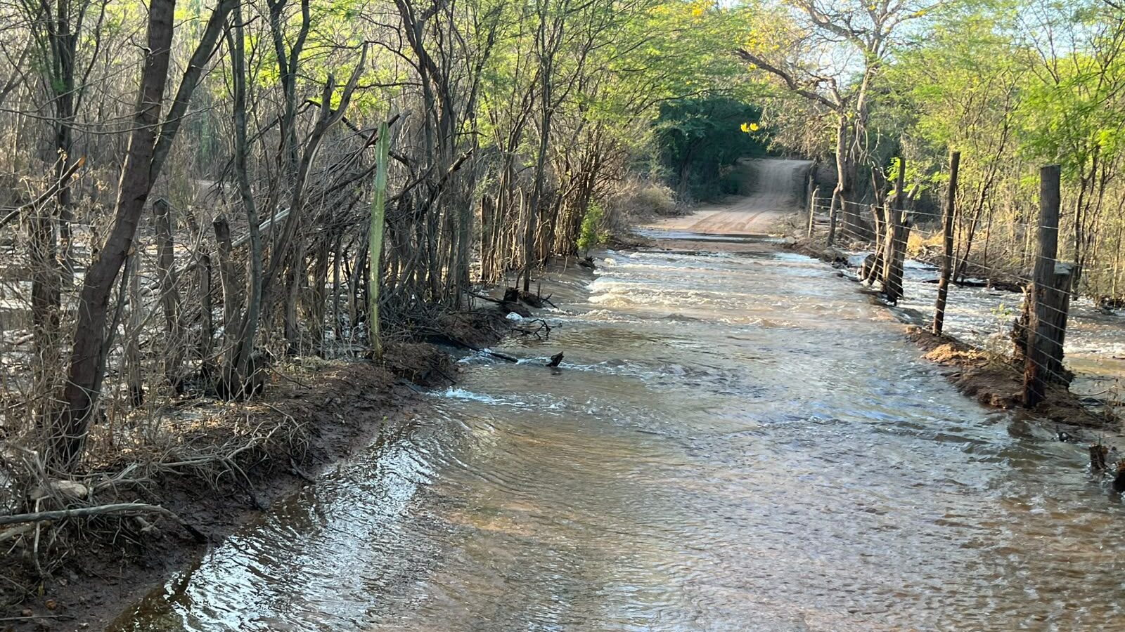 Vídeo denuncia desperdício de água no açude Poço da Cruz, em Ibimirim