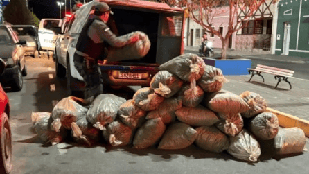 Polícia realiza prisões e apreensões de drogas em Venturosa, Alagoinha e Iati