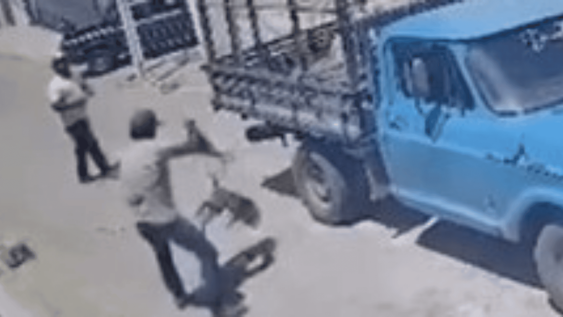 População denuncia maus-tratos a animais de rua pela Prefeitura de Iguaracy