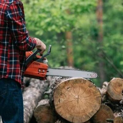 Portal Panorama - Arcoverde e região